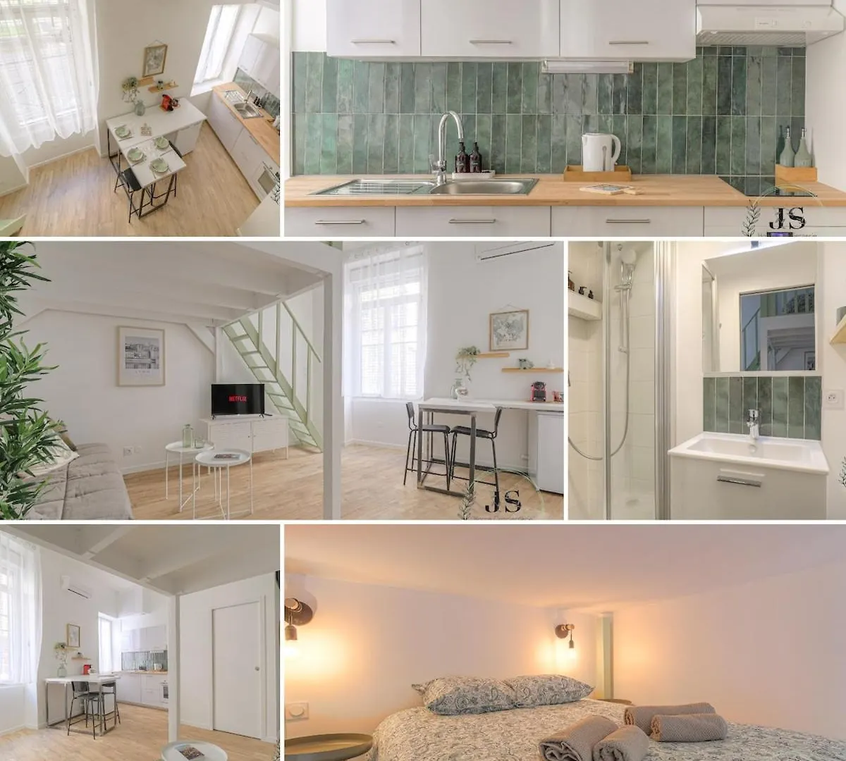 Appartamento Le Dauphine Studio Climatise Lione