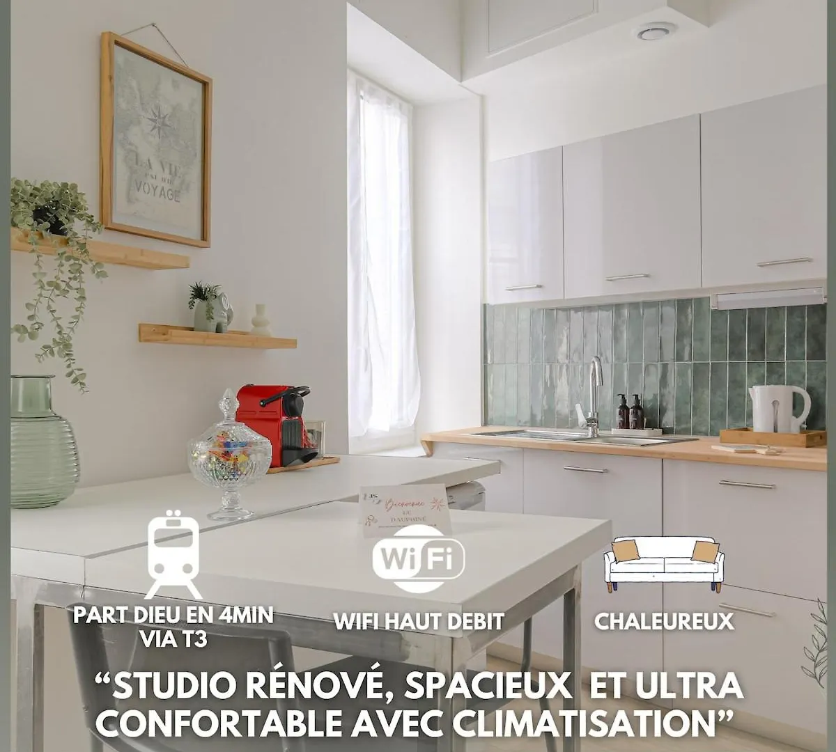 Le Dauphine Studio Climatise Lione