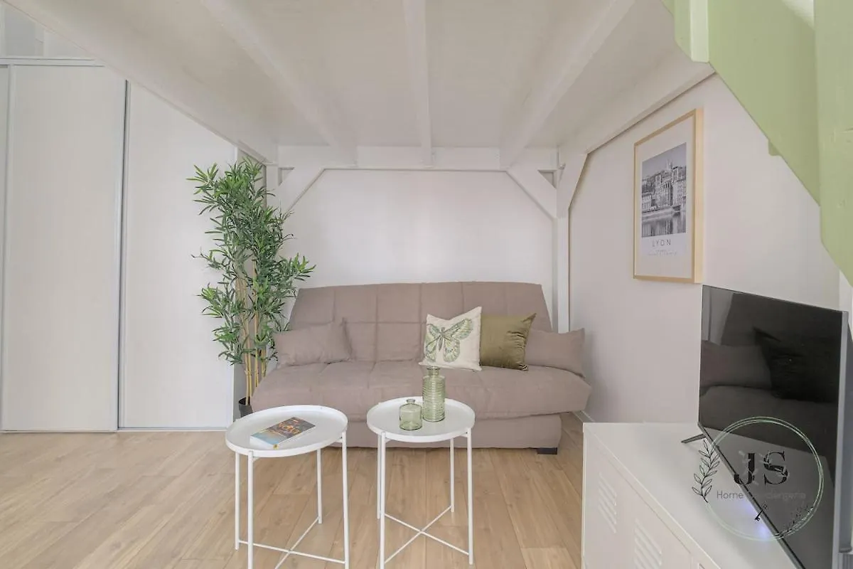 Le Dauphine Studio Climatise Lyon