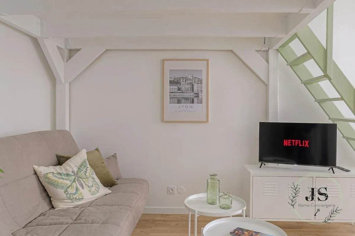 Apartment Le Dauphine Studio Climatise Lyon
