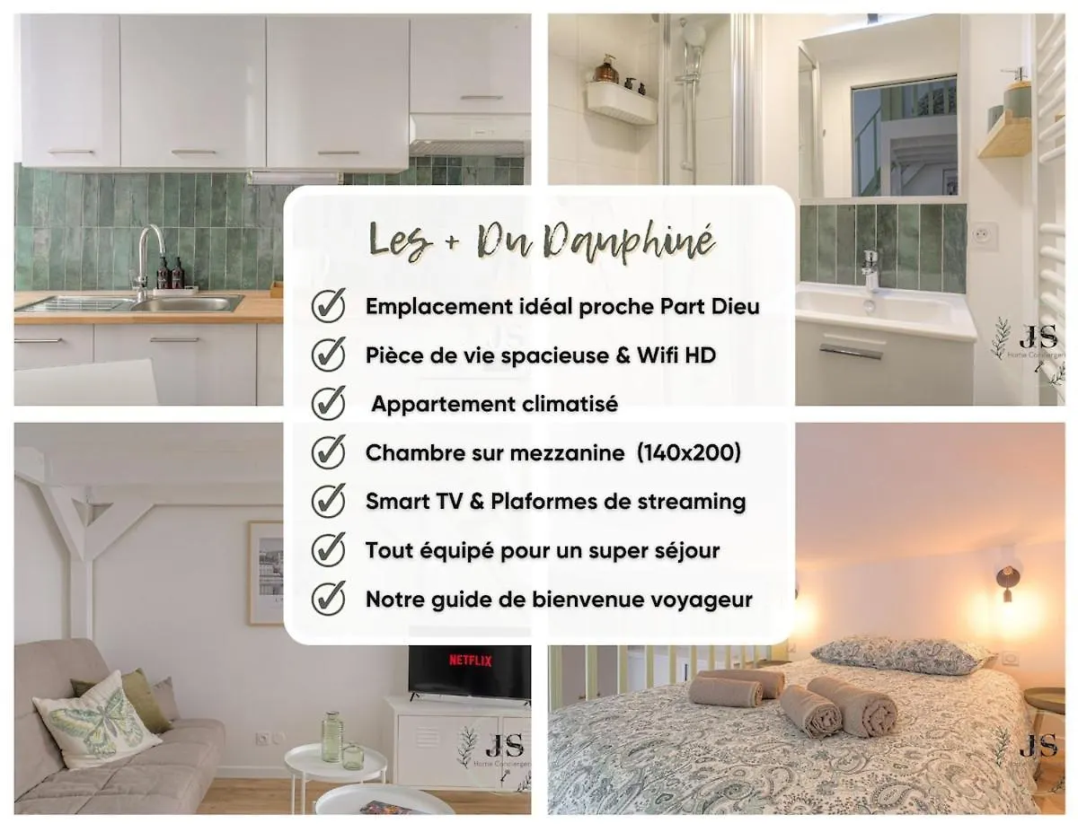 Le Dauphine Studio Climatise Lyon Apartment