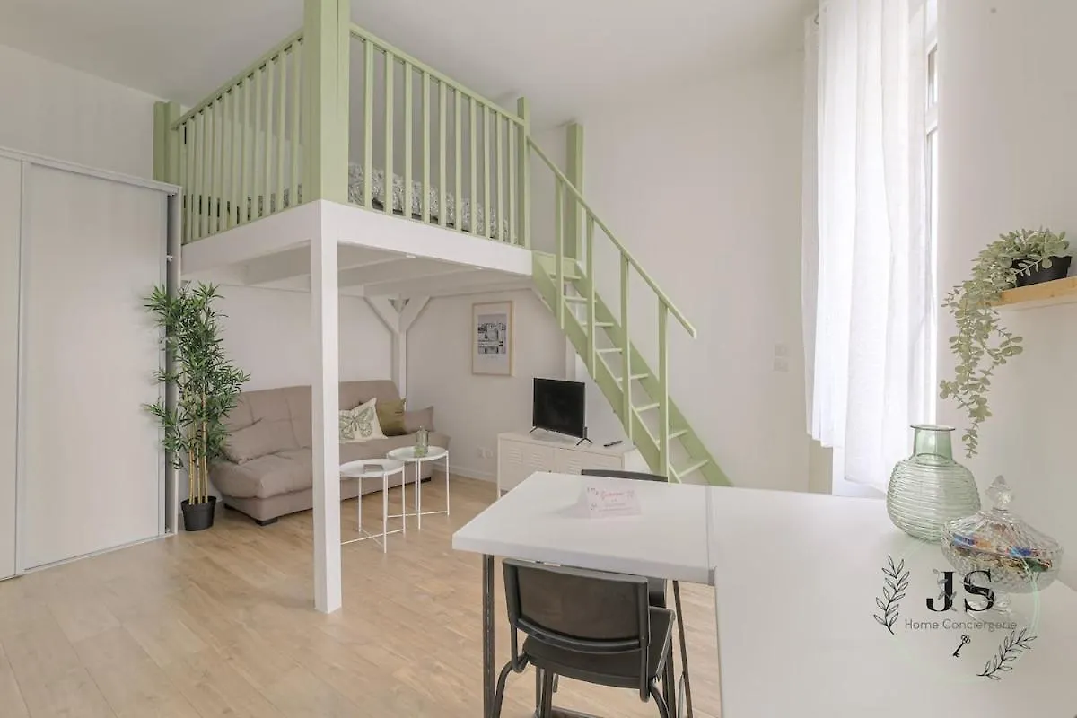 Le Dauphine Studio Climatise Lyon France