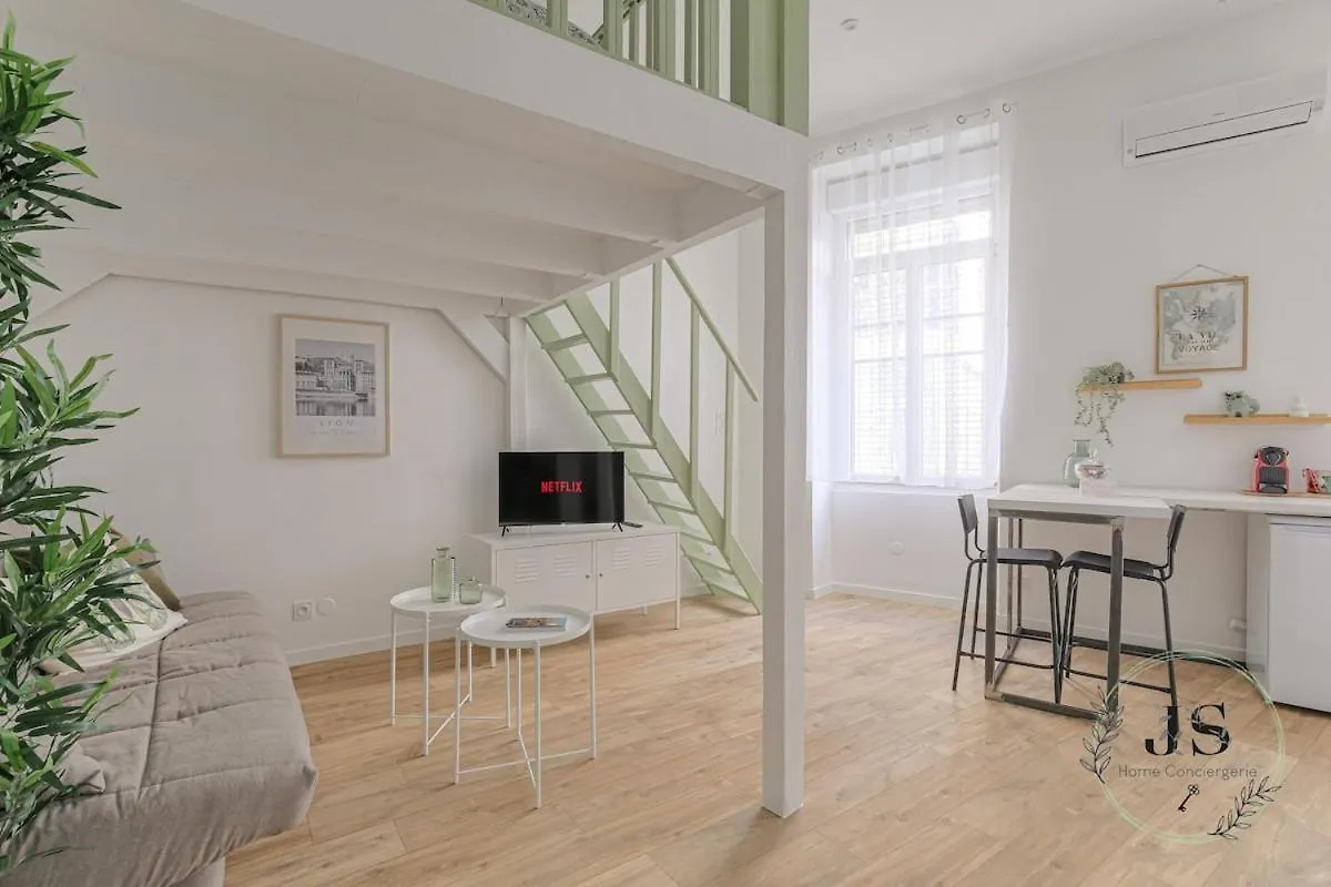 Apartment Le Dauphine Studio Climatise Lyon France