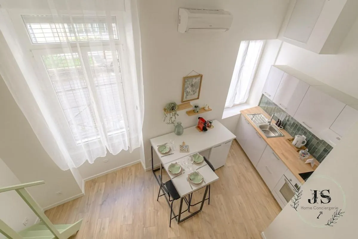Le Dauphine Studio Climatise Lyon France